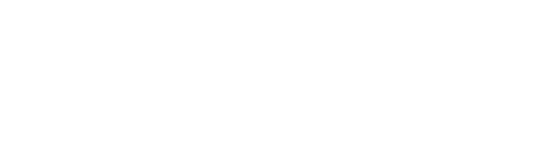 Bradford White Logo